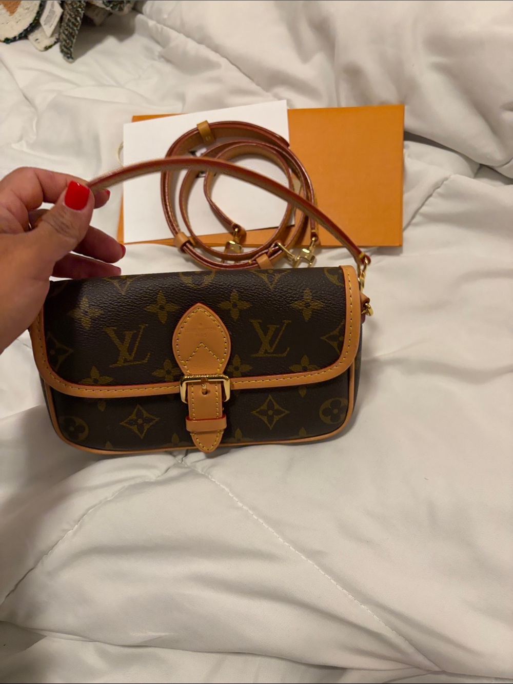 Louis Vuitton Monogram Nano Diane - Picture 13 of 13